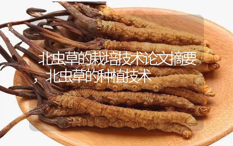 北蟲草的栽培技術(shù)論文摘要，北蟲草的種植技術(shù)