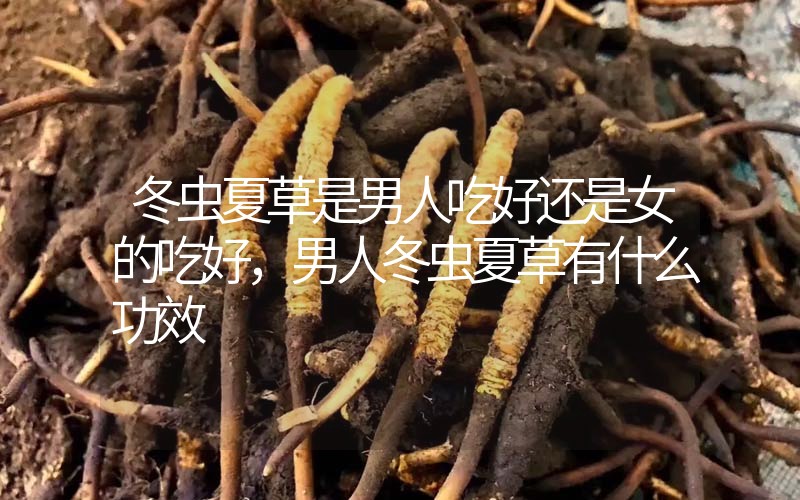 冬蟲夏草是男人吃好還是女的吃好，男人冬蟲夏草有什么作用