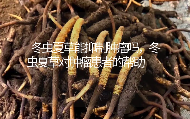 冬蟲夏草能抑制腫瘤嗎？冬蟲夏草對腫瘤患者的幫助