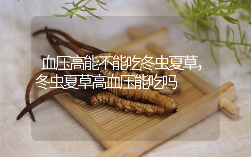 血壓高能不能吃冬蟲(chóng)夏草，冬蟲(chóng)夏草高血壓能吃嗎？