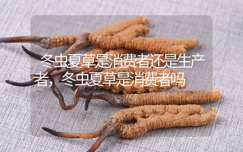 貧血吃冬蟲夏草有效果嗎，貧血虛弱者可以用冬蟲夏草嗎？