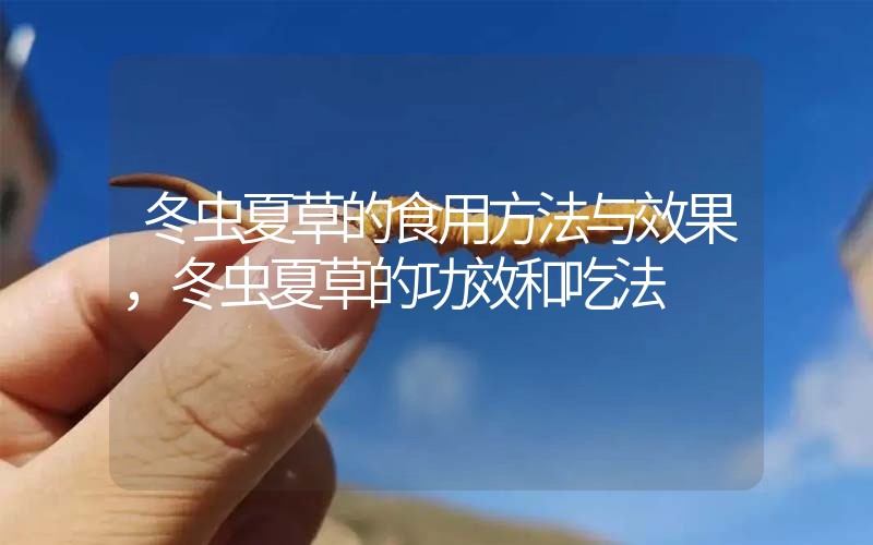 冬蟲(chóng)夏草的食用方法與效果，冬蟲(chóng)夏草的食用方法！