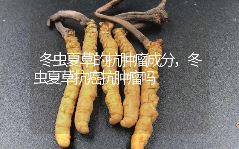 冬蟲夏草的抗腫瘤成分，冬蟲夏草抗癌抗腫瘤嗎？
