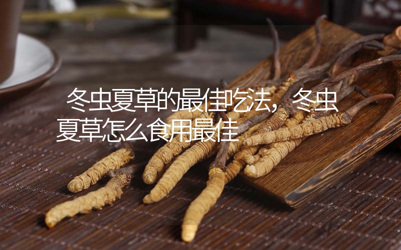 冬蟲(chóng)夏草的最佳吃法，冬蟲(chóng)夏草怎么食用最佳