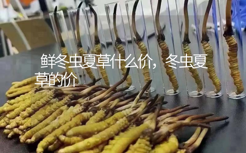 鮮冬蟲夏草什么價，冬蟲夏草的價格
