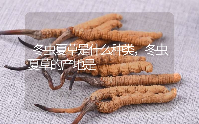 冬蟲(chóng)夏草是什么種類，冬蟲(chóng)夏草的產(chǎn)地是