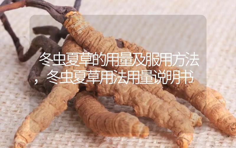 冬蟲夏草的用量及服用方法，冬蟲夏草用法用量