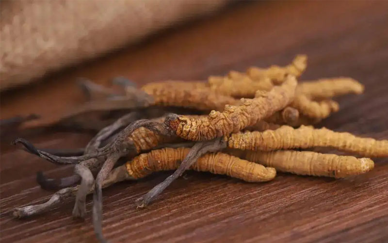 不同產(chǎn)地冬蟲夏草價格差別大嗎？