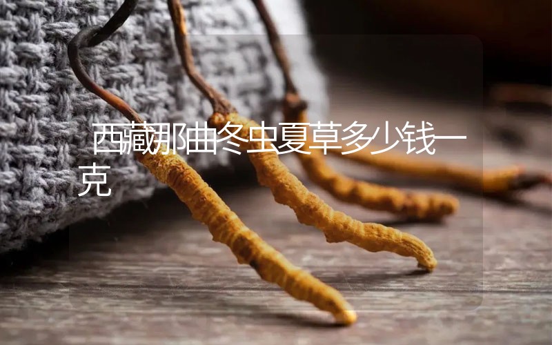 西藏那曲冬蟲夏草多少錢一克？