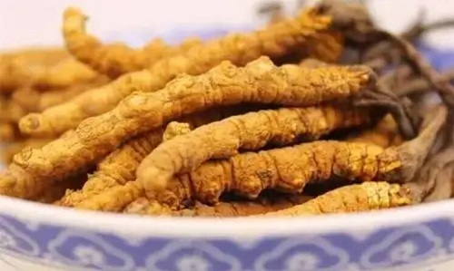 長(zhǎng)期服用冬蟲(chóng)夏草會(huì)砷中毒嗎