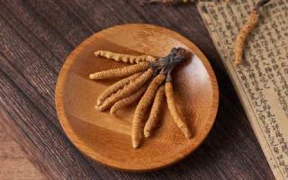 為何買冬蟲夏草要選前期的頭茬草！