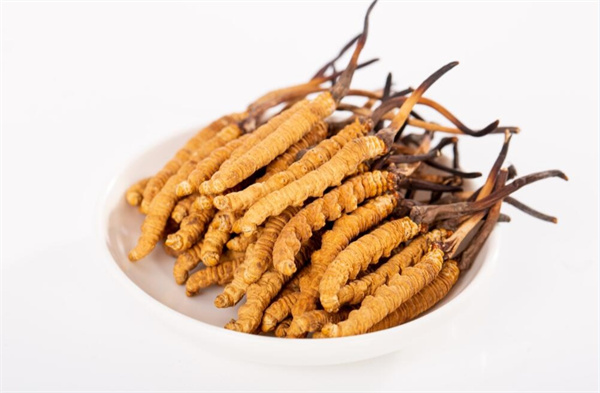 冬蟲夏草和夾脊魚搭配怎么吃？