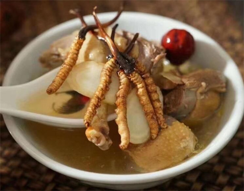 燉冬蟲夏草可以加枸杞嗎？