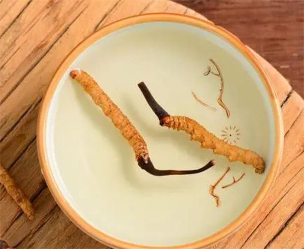 枸杞鎖陽(yáng)冬蟲夏草泡酒 制作枸杞鎖陽(yáng)冬蟲夏草泡酒的詳細(xì)步驟