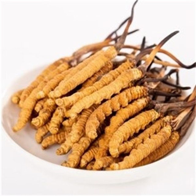 真的冬蟲(chóng)夏草什么價(jià)格？冬蟲(chóng)夏草價(jià)格的波動(dòng)與市場(chǎng)影響因素