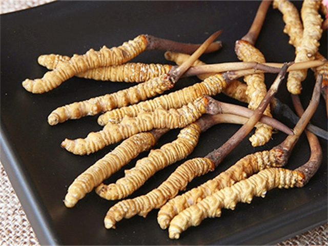 真的冬蟲(chóng)夏草什么價(jià)格？影響冬蟲(chóng)夏草價(jià)格波動(dòng)的3個(gè)關(guān)鍵因素