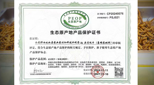 德耀娜秀 奮進(jìn)比如║熱烈祝賀！比如縣“亞貢牦牛”入選農(nóng)業(yè)農(nóng)村部全國名特優(yōu)新農(nóng)產(chǎn)品名錄