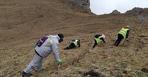 <a href=http://www.ysdxl.com/sdph/zf/ target=_blank class=infotextkey>珍峰冬蟲夏草</a>:源自世界屋脊的養(yǎng)生瑰寶