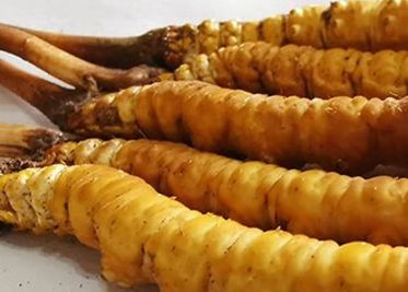 <a href=http://www.ysdxl.com/sdph/zf/ target=_blank class=infotextkey>珍峰冬蟲夏草</a>主要的銷售模式