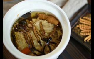 冬蟲夏草怎么食用？解鎖滋補養(yǎng)生的正確打開方式