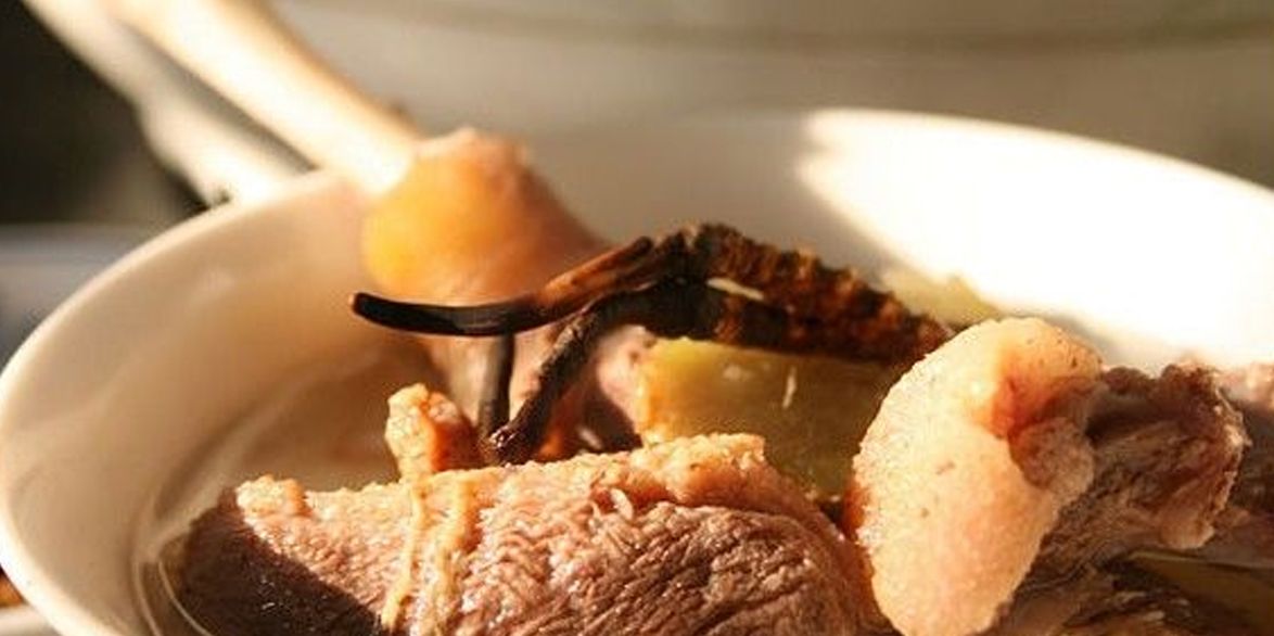 冬蟲夏草怎么吃？多種食用方法全解析