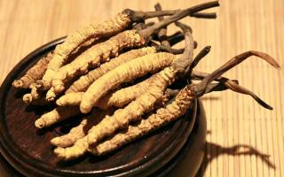 冬蟲夏草的價(jià)格一克：為何如此昂貴？