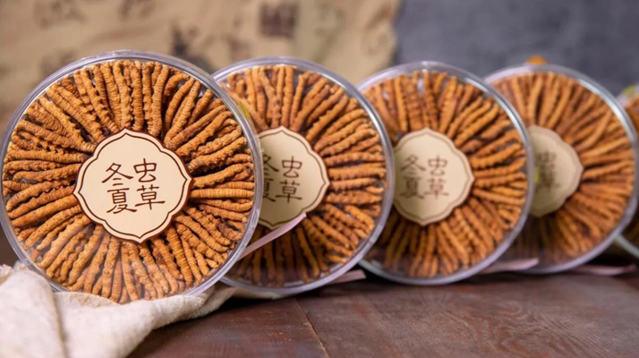 <a href=http://www.ysdxl.com/chanpin/ target=_blank class=infotextkey>冬蟲夏草一盒多少錢</a>？全方位剖析價(jià)格構(gòu)成