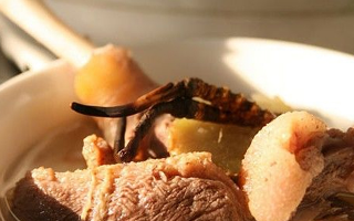 冬蟲夏草煲湯指南