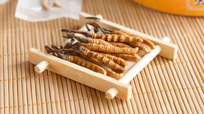 什么地方冬蟲(chóng)夏草最正宗