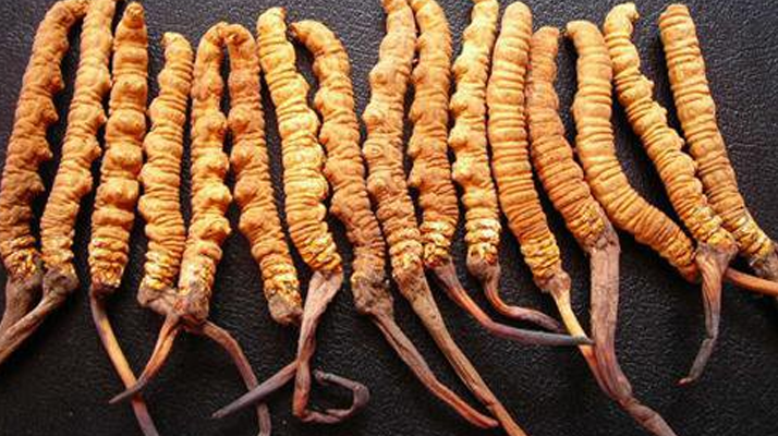 純野生<a href=http://www.ysdxl.com/jiage/ target=_blank class=infotextkey>冬蟲夏草多少錢</a>一克？價格背后的秘密?