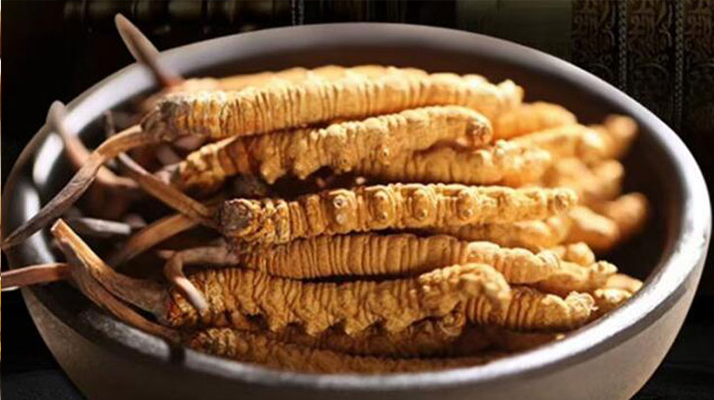 好的<a href=http://www.ysdxl.com/jiage/ target=_blank class=infotextkey>冬蟲夏草多少錢</a>一克