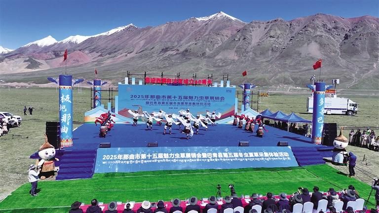 雪域高原迎盛會(huì) 蟲(chóng)草之鄉(xiāng)展新顏——那曲市第十五屆魅力蟲(chóng)草展銷會(huì)暨巴青縣第五屆冬蟲(chóng)夏草采集體驗(yàn)活動(dòng)盛大開(kāi)幕