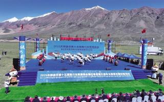 極地那曲奏響蟲草產(chǎn)業(yè)與文旅融合新樂章