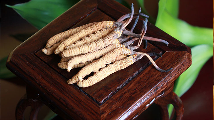 新鮮<a href=http://www.ysdxl.com/jiage/ target=_blank class=infotextkey>冬蟲夏草的價(jià)格</a>一根