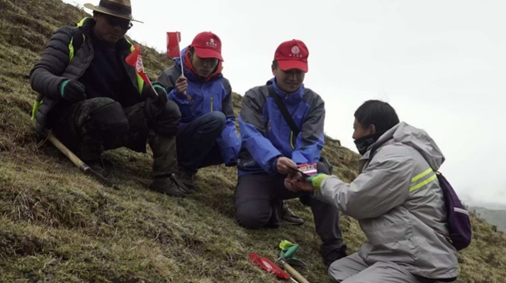 冬蟲夏草：把握最佳采摘季，守護(hù)自然饋贈