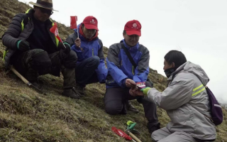 冬蟲夏草：把握最佳采摘季，守護(hù)自然饋贈