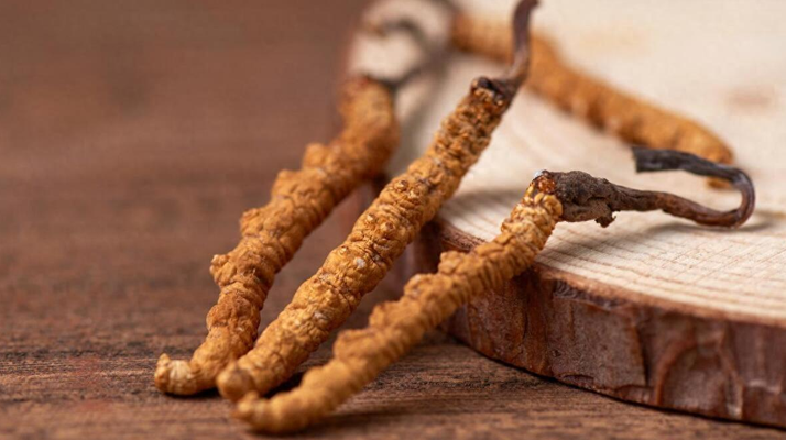 純野生<a href=http://www.ysdxl.com/jiage/ target=_blank class=infotextkey>冬蟲夏草價(jià)格</a>剖析:多因素交織下的價(jià)值體現(xiàn)