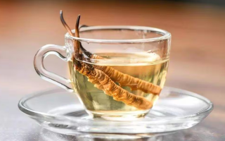 一斤白酒泡多少冬蟲夏草合適？科學(xué)配比與泡制指南