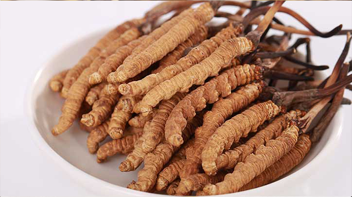 冬蟲(chóng)夏草一公斤多少錢？多因素交織下的價(jià)格密碼