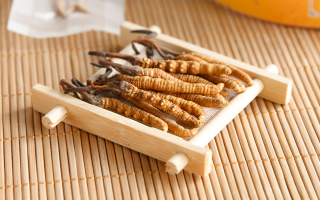 冬蟲(chóng)夏草怎么燉比較好？解鎖營(yíng)養(yǎng)不流失的燉煮指南