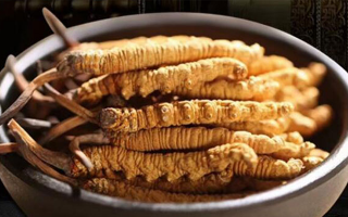 冬蟲(chóng)夏草效果好不好用？科學(xué)與實(shí)踐視角下的全面解析