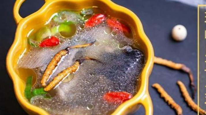 野生冬蟲夏草:副作用風(fēng)險需理性看待