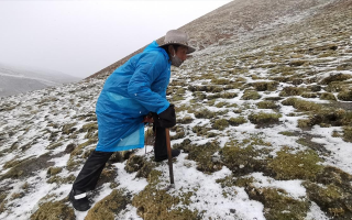 西藏挖冬蟲夏草在什么時候？產(chǎn)區(qū)與時間全攻略