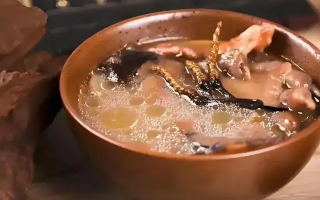 冬蟲夏草治什么病效果好？厘清輔助調(diào)理邊界與適用場(chǎng)景