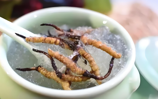 十根冬蟲夏草能泡幾斤酒？泡酒比例與細(xì)節(jié)指南