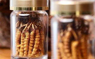 送冬蟲(chóng)夏草給男孩子好嗎？分場(chǎng)景分析 + 送禮建議