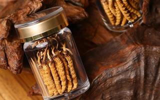 鮮冬蟲夏草泡水后怎么保存？3 種場景保存方法 + 避坑指南