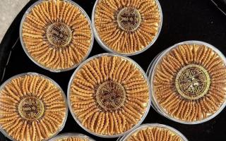 什么白酒適合泡冬蟲夏草？4 大標(biāo)準(zhǔn) + 泡制指南