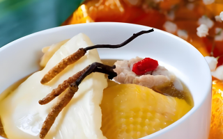 黃芪能和西藏那曲的冬蟲夏草一起燉嗎？