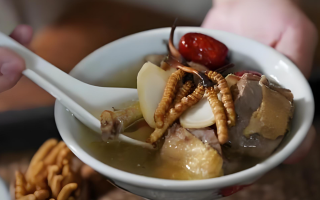 冬蟲夏草和什么一起燉可以治咳嗽？